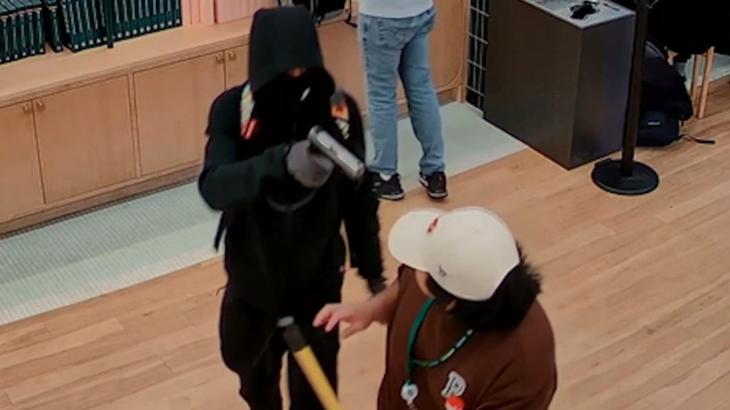 Grabitësit e armatosur vjedhin 100,000 dollarë mallra të kartave Pokémon, mbajnë klientët në pikën e armës