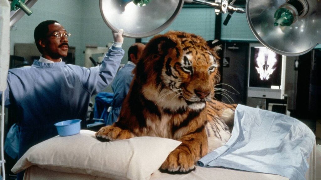 Shikoni një nga komeditë më të mira të Eddie Murphy (dhe vazhdimin e saj) përpara se të largohet nga Netflix Shikoni një nga komeditë më të mira të Eddie Murphy (dhe vazhdimin e saj) përpara se të largohet nga Netflix