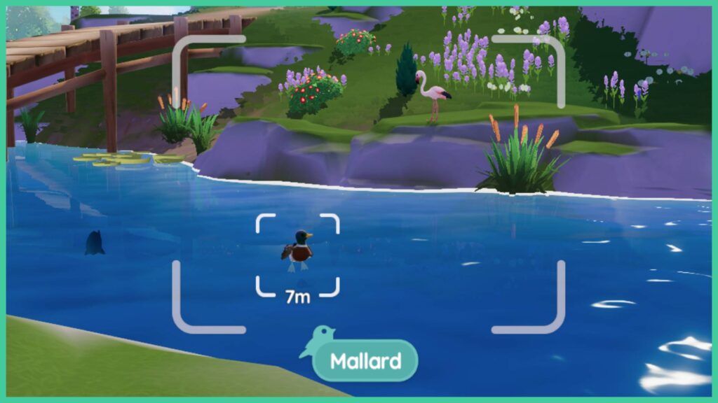 Udhëzues për vëzhgimin e zogjve Heartopia – Përmirësimet, aftësitë dhe kartat e informacionit – Gamezebo