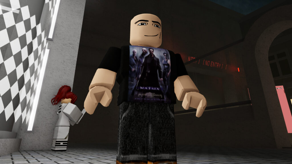 Project Mirror Labyrinth codes February 2026